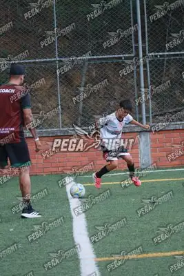 Foto de Semilla Comunera