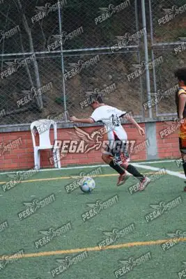 Foto de Semilla Comunera