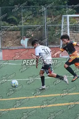 Foto de Semilla Comunera