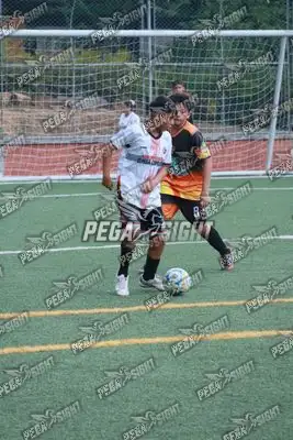 Foto de Semilla Comunera
