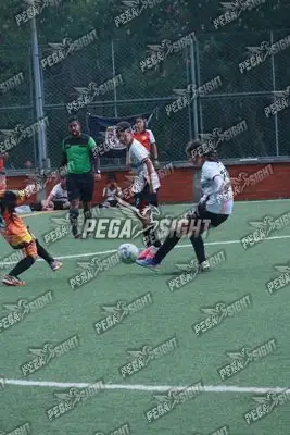 Foto de Semilla Comunera