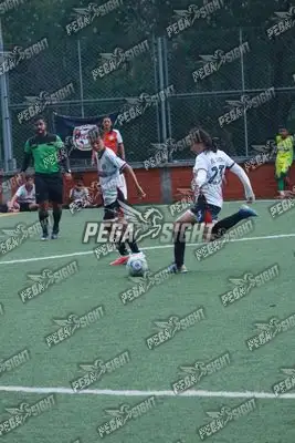 Foto de Semilla Comunera