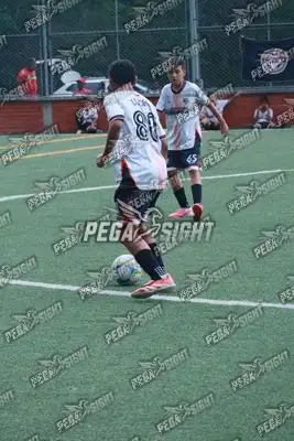 Foto de Semilla Comunera