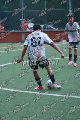Foto de Semilla Comunera