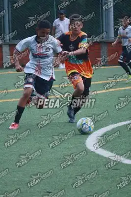 Foto de Semilla Comunera