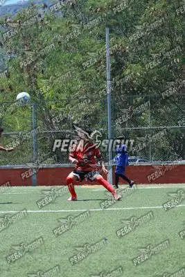 Foto de Semilla Comunera