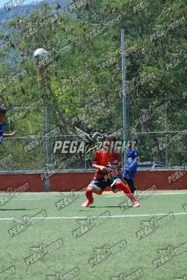 Foto de Semilla Comunera