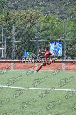 Foto de Semilla Comunera