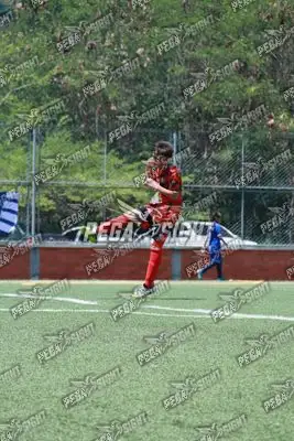 Foto de Semilla Comunera