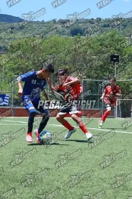 Foto de Semilla Comunera