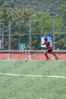 Foto de Semilla Comunera