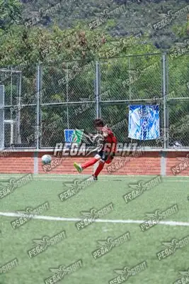 Foto de Semilla Comunera