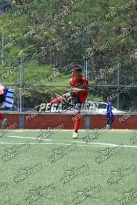 Foto de Semilla Comunera