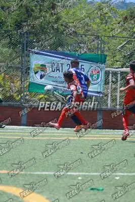 Foto de Semilla Comunera
