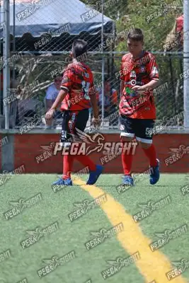 Foto de Semilla Comunera