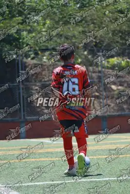 Foto de Semilla Comunera