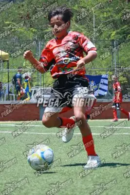 Foto de Semilla Comunera
