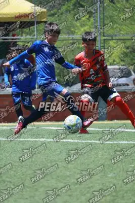 Foto de Semilla Comunera