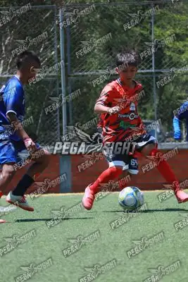 Foto de Semilla Comunera