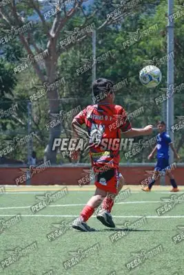 Foto de Semilla Comunera