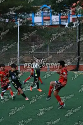 Foto de Semilla Comunera