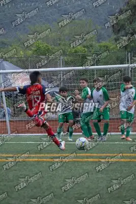 Foto de CD CARRIZAL