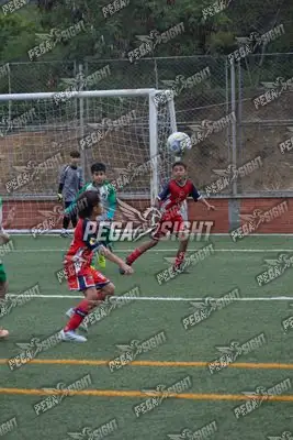 Foto de CD CARRIZAL