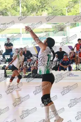 Foto de GUAJIRA