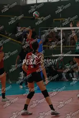 Foto de CASANARE