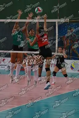 Foto de CASANARE