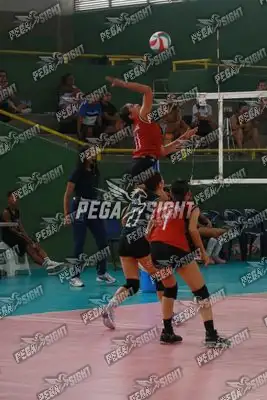 Foto de CASANARE