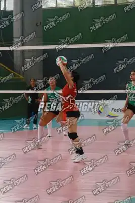 Foto de CASANARE