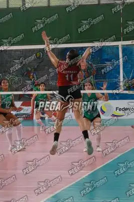 Foto de CASANARE