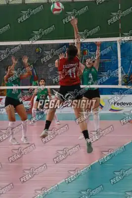 Foto de CASANARE