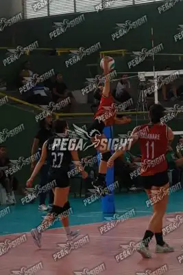 Foto de CASANARE