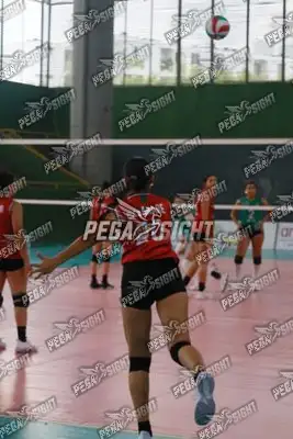 Foto de CASANARE
