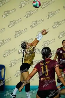 Foto de TOLIMA