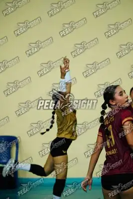 Foto de TOLIMA