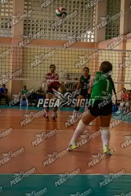 Foto de META