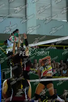 Foto de QUINDIO
